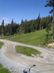 Black Bear sighting from chairlift