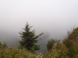If you look through the mist, you can see the ocean at the bottom of this cliff
