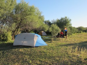Our 2nd night in the desert. It's pretty green eh! We got lucky with this camp site just off the road and shared it with some wandering cows.