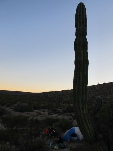 Our 3rd camp site in the desert & our first night going solo.