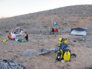 Our 4th night in the desert, we met the boys on the road again and set up camp together. It was a stunning clear & starry night.