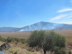 Burning the maize fields makes for smokey stinky riding