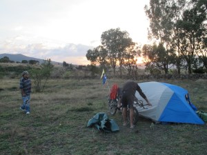 Wild camping under some gum trees