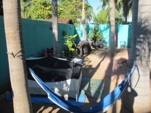 Camping under the palm trees at The Hacienda