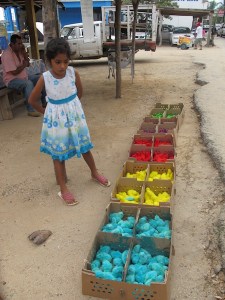 Coloured chicken anyone?