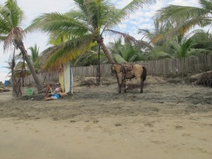 Is there something wrong here? Check the guy in the blue shorts