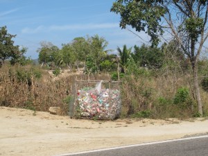 OMG is that plastic bottle recycling?