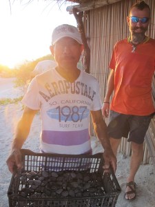 Silvano and the box of Tortugitas