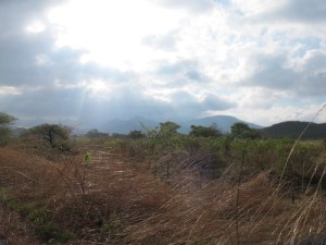 Super strong winds even captured in a photo