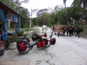 Preparing to leave after the storm of traffic