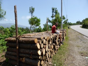 Moments before...the incident