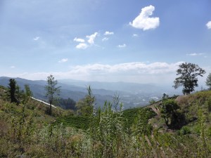 A regular view riding through Guatemala