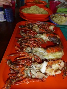 Lobsters for tea. Quite the change from our usual tomato pasta!