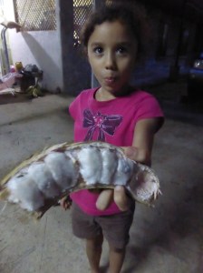 This is the Costa Rican version of a guava. LIke nothing else i have ever stated. Furry, but sweet with a HUGE pip inside.