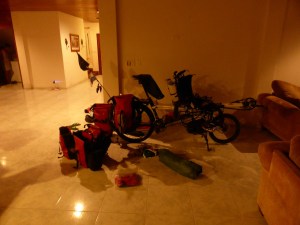 Falkor stoked to be out of the elements and getting her own share of luxury 