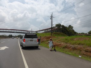 Standard Paparazzi on the side of the road