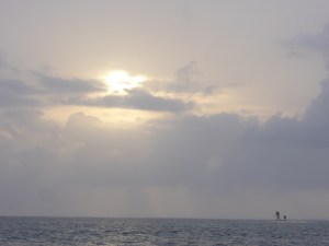 Tint perfect islands