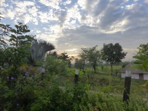 Early morning views rock!