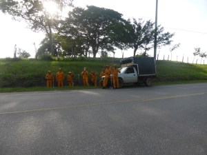 Roadside workers are the best!