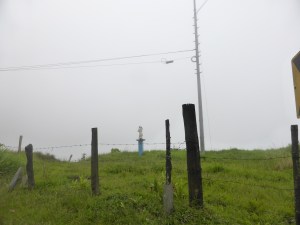 Roadside saints everywhere