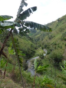 The area around the Casa in San Antonion de Prado