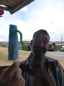 Oooh! An icy-pole with a snake in it!