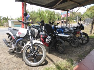 Falkor hanging out with the big boys