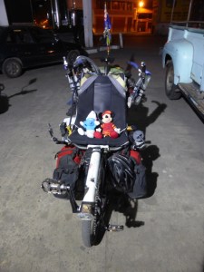 We find some stow aways on Falkor