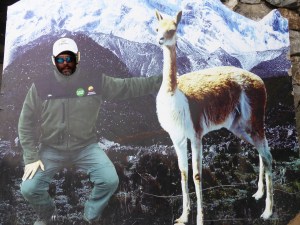 Because even when you are cold, opportunities like this are too good to pass up.