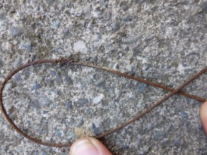The rusted gear cable