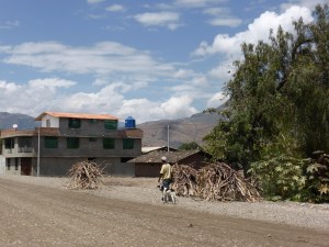 Those 3 stacks of hay are all on top of donkeys