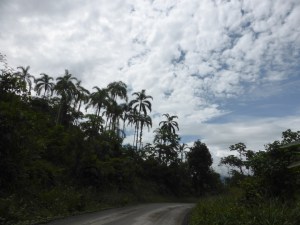 The Amazon route from Kimbiri