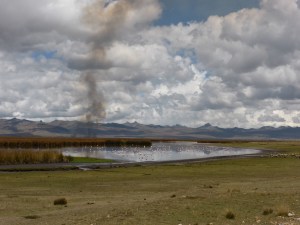 Imagine riding around a bend in the road to see a small lake smothered in pink flamingos!