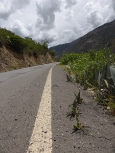 A sign of resilience.