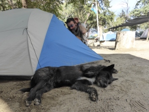 She slept outside our tent. Even Bren developed a soft spot for her.