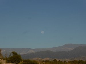 Woe! Huge daytime moon!