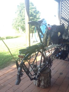 In Bangalow resting on a gum tree stump while waiting for the new hub.
