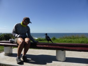 A private audience with this lovely maggie. I sat down on this bench and she landed to sit, singing as she looked up at me so I shared my cake with her. It seemed the polite thing to do.