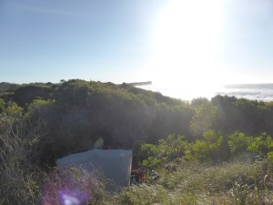 Camping in the sand dunes at Dunbogan beach.