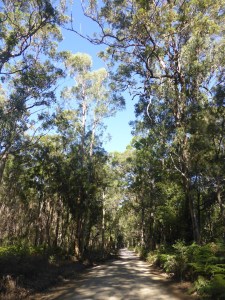 More off road riding