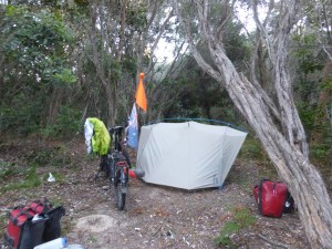 A sweet bush spot by the beach at Black Head
